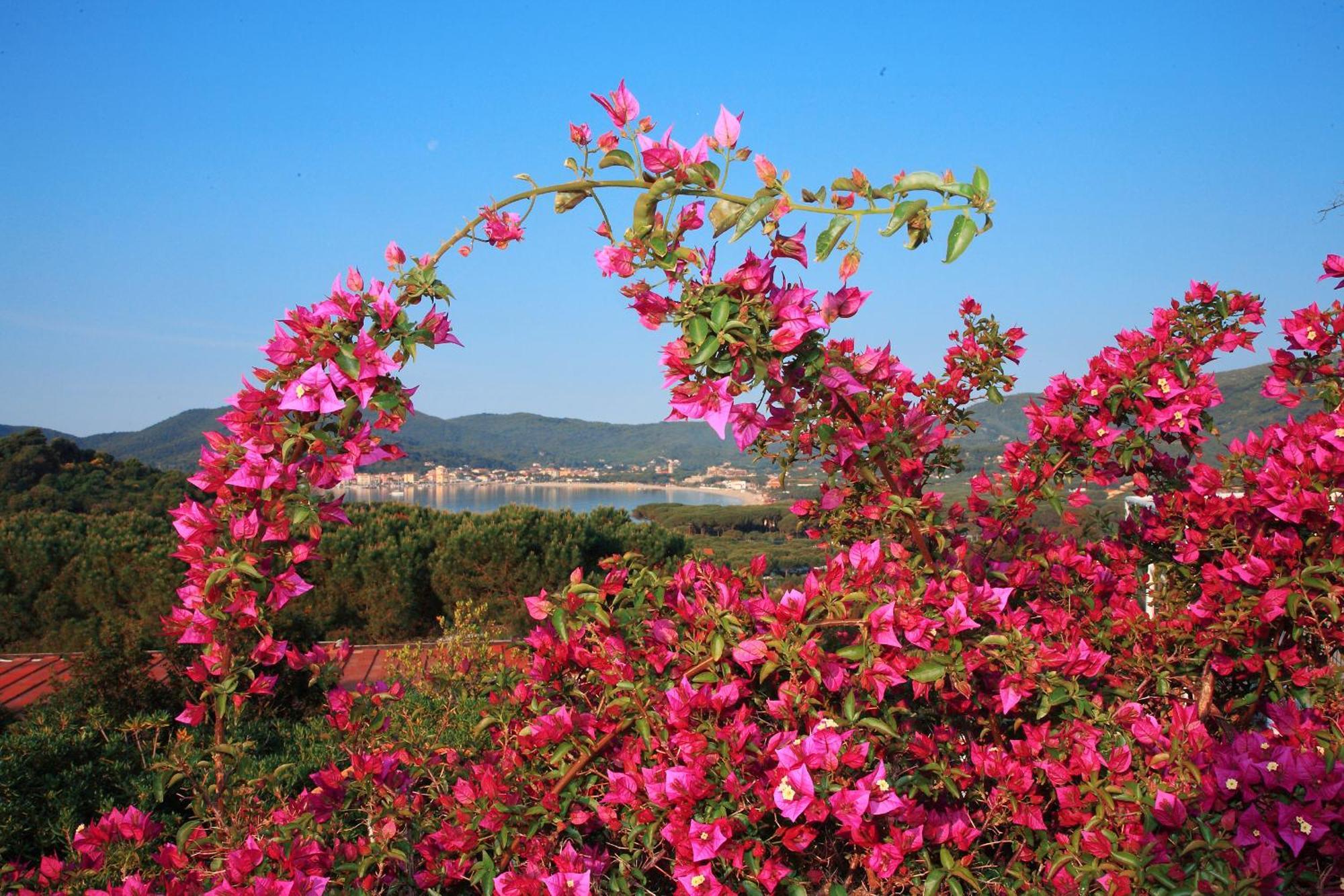Hotel Marina 2 Marina di Campo Εξωτερικό φωτογραφία